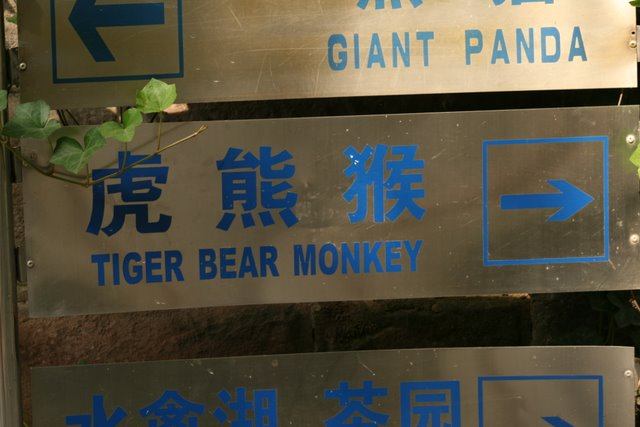 Tiger Bear Monkey