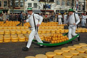 transporting cheese