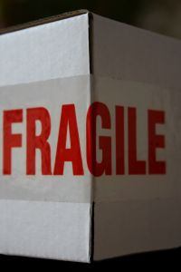 fragile.jpg