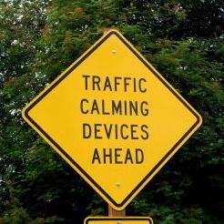Traffic Calming Device