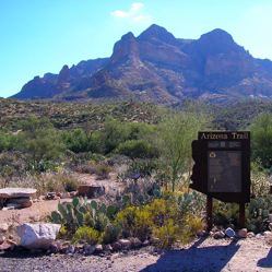 tonto national forest