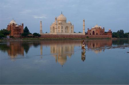 Alison Wright's Taj Mahal