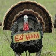 Turkey says Eat Ham