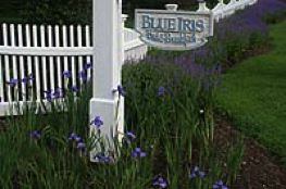 Blue Iris Sign