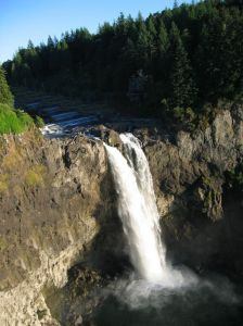 Washington Forest Waterfall