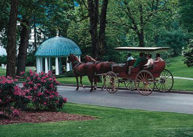 Carriage ride on Greenbrier grounds
