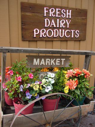 Fresh dairy products at Harley Farms