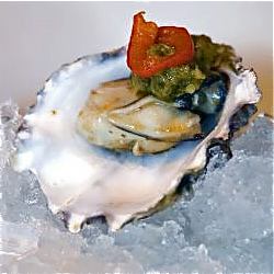 Oyster on ice