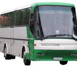 Green Bus stock photo