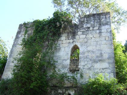 Jamaican Ruins