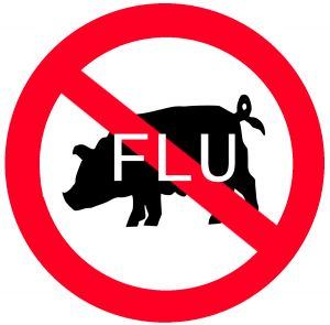No Swine Flu