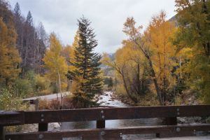 Late Fall Stream in Colorado
