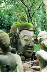 Buddha Head ruins