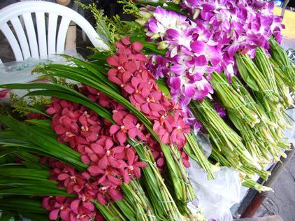 Bangkok flowers