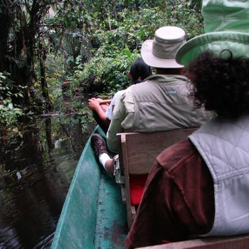Boat in the rainforest