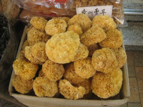 Dried sea sponges
