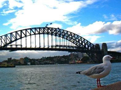 Sydney Harbor Bridge - photo by Karl Muller