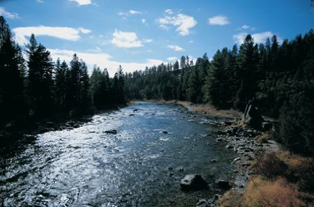 A stream in Montana