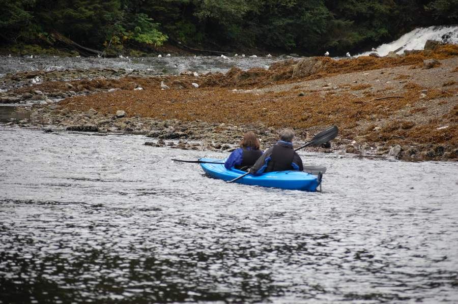 Kayaking in Alaska, photo credit: Bill Manderfeld