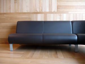 Modern couch