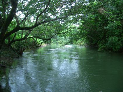 River in Belize - top fishing spots