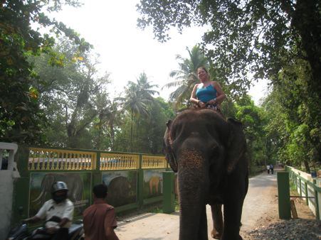 Riding an elephant in India
