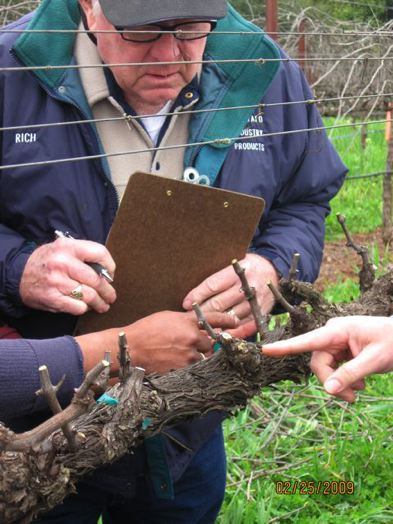 Judging the Pruning Contest - Phot by JAmie Stringfellow