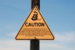 Caution: Rattlesnakes