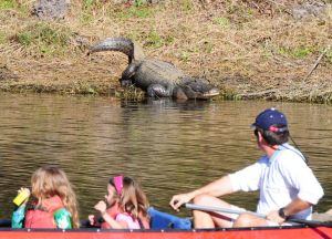 Family Boating - One Way to View Wildlife