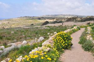 Malta Vista - Landscape of Malta