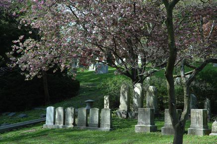 Photo from Mount Auburn Cemetery