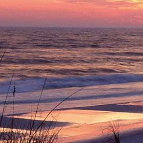 Gulf Shores, Alabama & the Oil Spill - Peter Greenberg Worldwide Radio