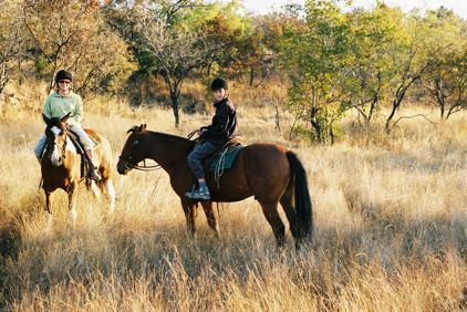 Kids Can Go Horseback Riding While Parents Don’t Have To