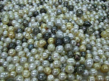 Collection of Pearls