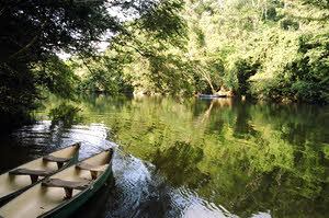 River & Canoe in Belize - by Meg Pier
