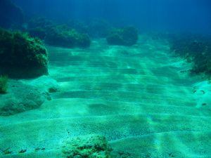 Under the Sea - Diving Bermuda