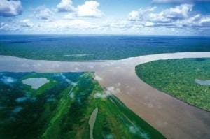 Two Amazon Tributaries In Peru