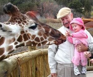 Giraffe Feeding at the Zoo