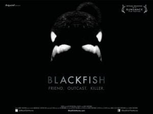 Dogwoof_Documentary_Blackfish_Quad_New_1600_1200_85