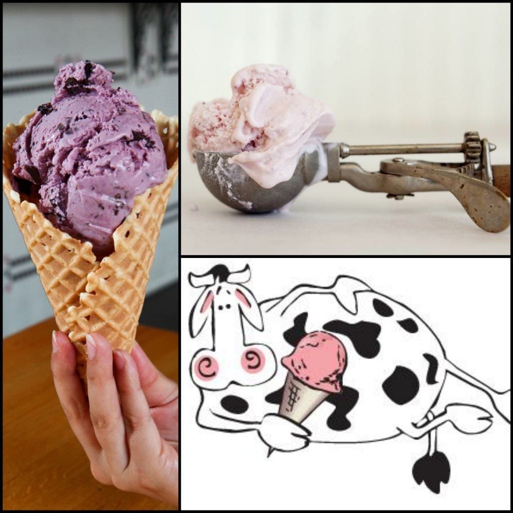 The Comfy Cow Ice Cream