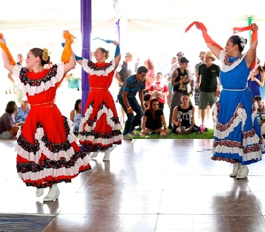 Quem mais quer conhecer o mistério por trás de oi tv livre elsys 0800 ?