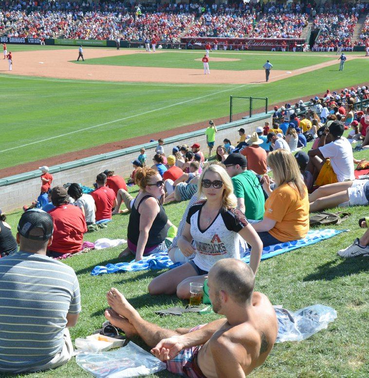 Baseball Spring Training Arizona's Fields of Dreams