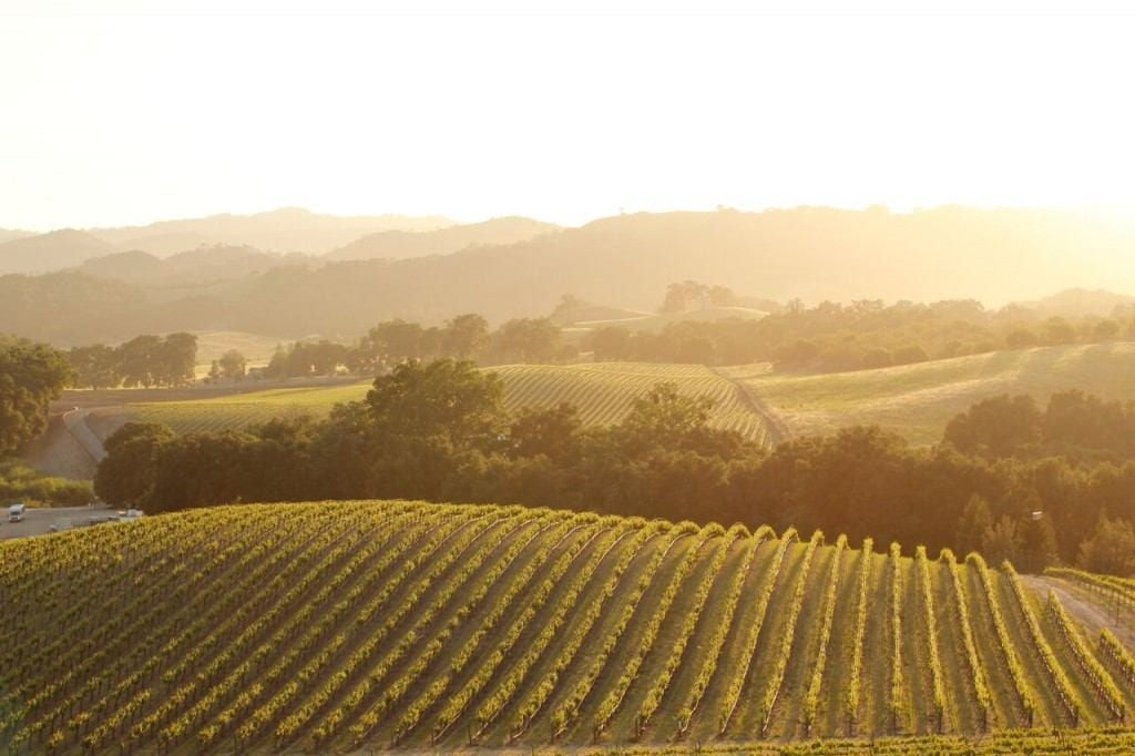 Image Credit: Travel Paso Robles Alliance