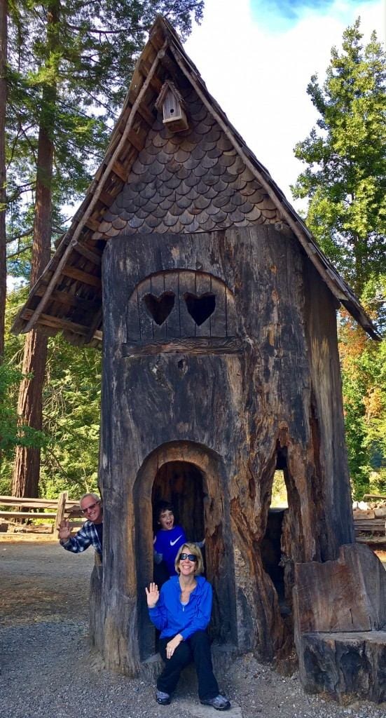 We had to stop for this treehouse carved out of a tree stump!