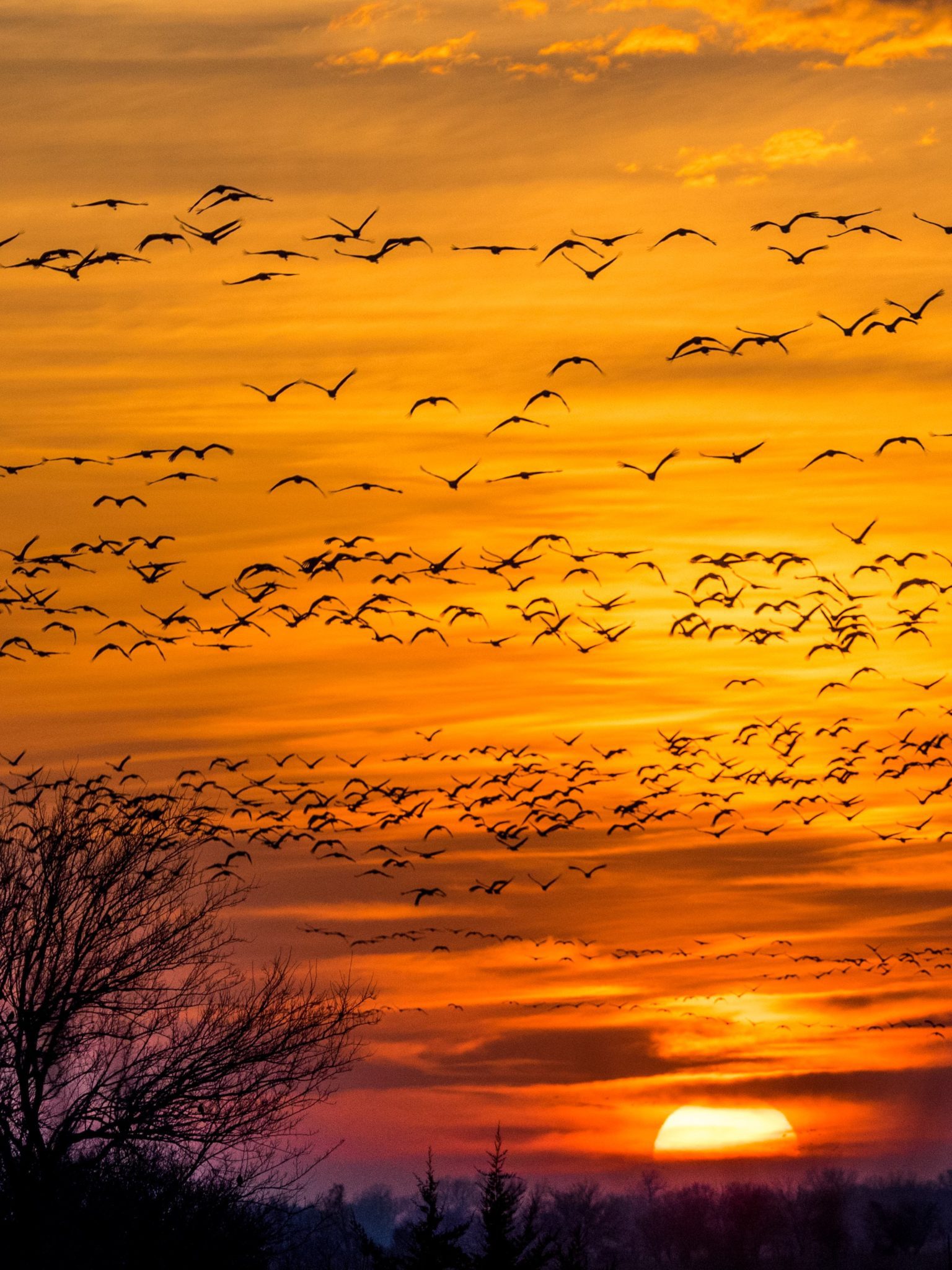 7 Of The Best Places To Witness Wildlife Migration Paths For Families 7-of-the-best-places-to-witness-wildlife-migration-paths-for-families
